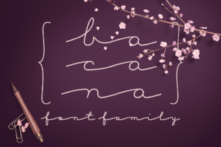 Bacana: A Powerful Tool for Creativity
