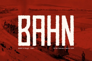 Bahn Light: A Practical Overview for Informed Decision-Making