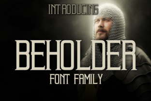 Beholder: A Comprehensive Evaluation for Modern Users