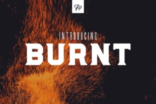 Burnt: A Comprehensive Evaluation for Informed Decision-Making