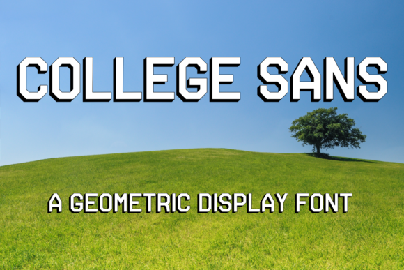 How College Sans Can Transform Your Academic and Professional Journey