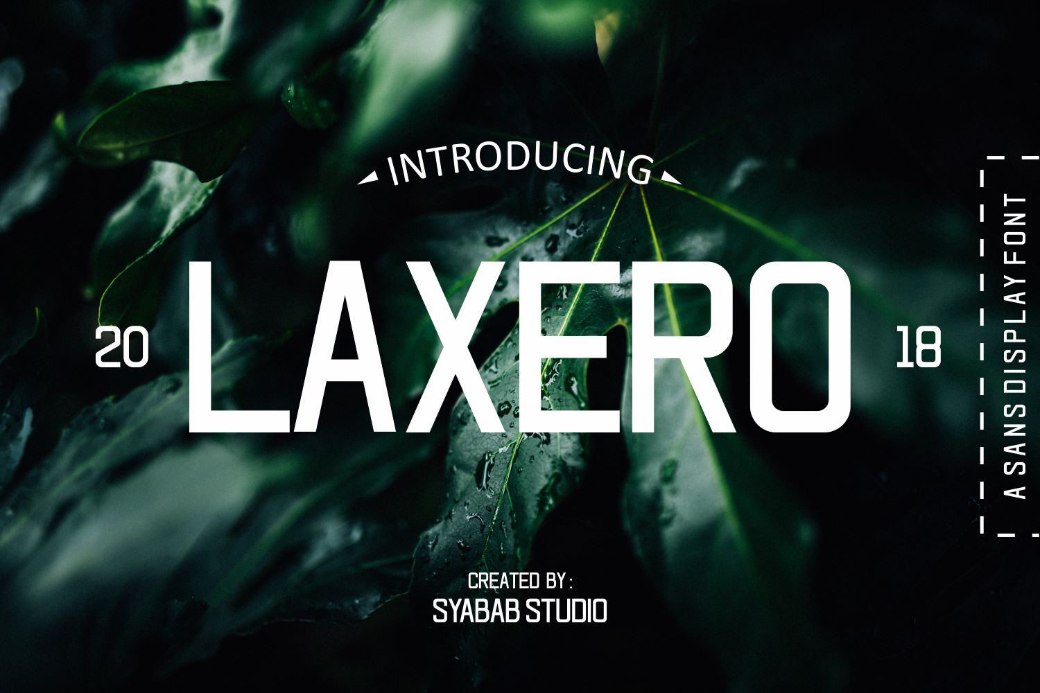 Laxero: A Modern, Versatile Font for Creative Projects