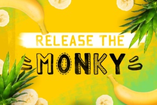 Monky: A Comprehensive Review for Modern Creators and Professionals
