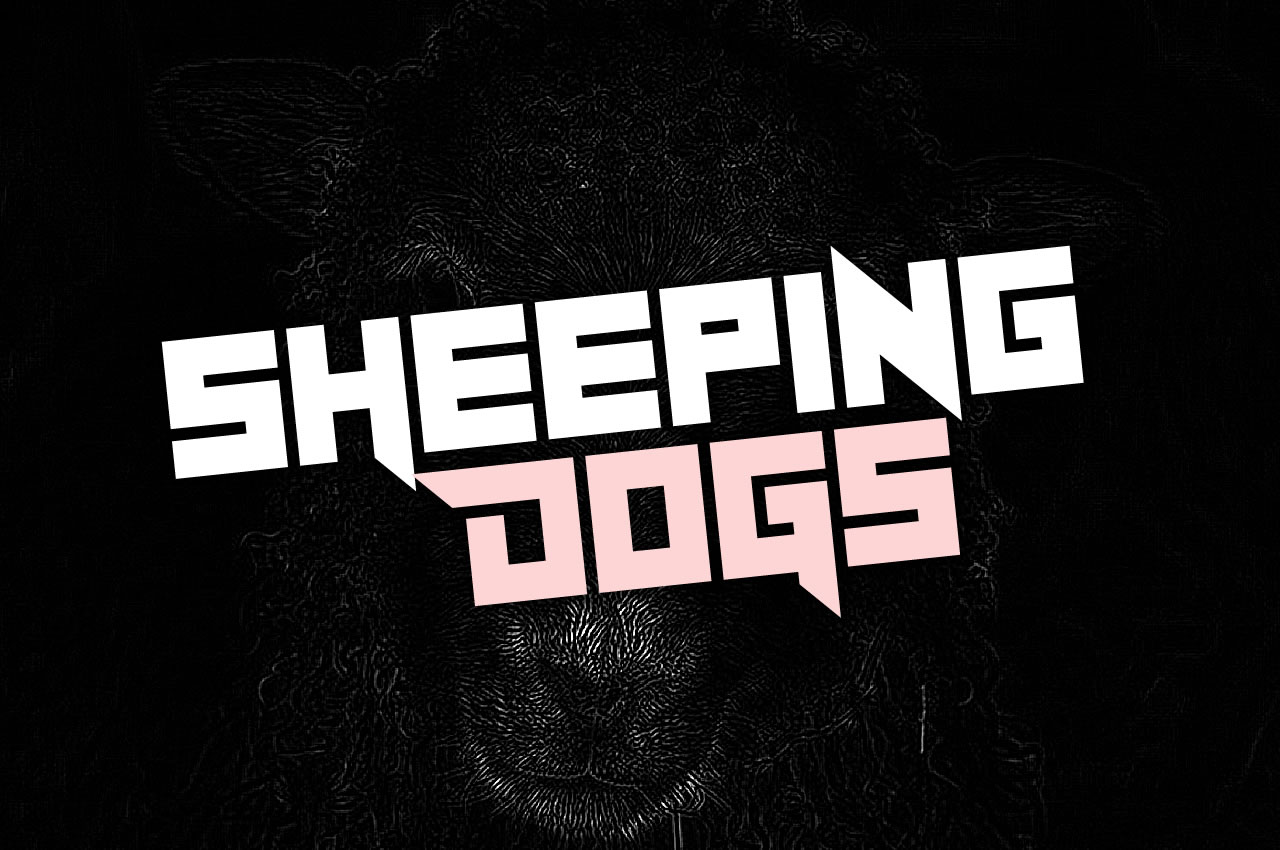 Sheeping Dogs: A Guide for Beginners