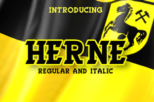 Strategic Use of Herne for Better Decision-Making and Results