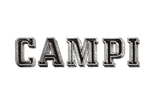 Understanding Campi: A Practical Guide for Informed Decision-Making