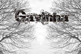 Understanding Gavinha: A Comprehensive Guide