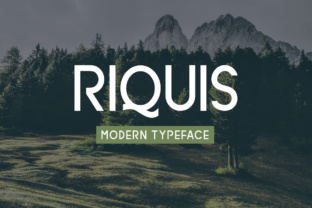 Understanding Riquis: A Practical Overview for Informed Decision-Making