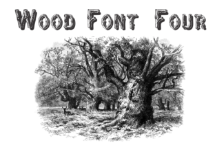 Wood Four: What You Need to Know Before You Start